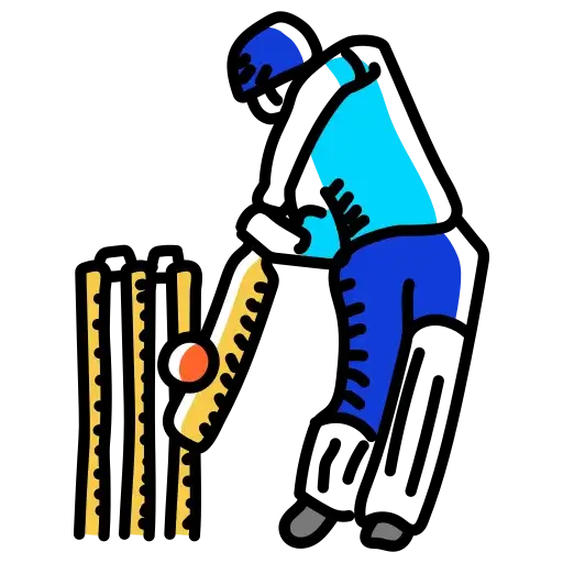 Cricket pitch with nets for practice